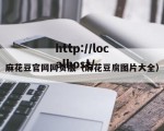 麻花豆官网网页版（麻花豆腐图片大全）